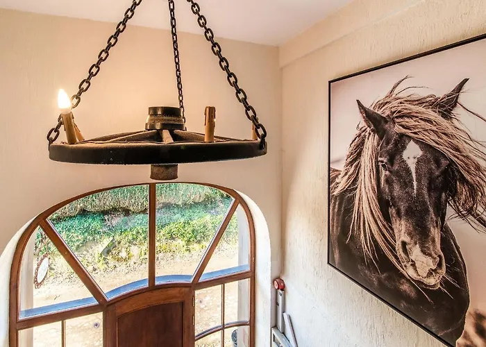 In With Natural Surroundings